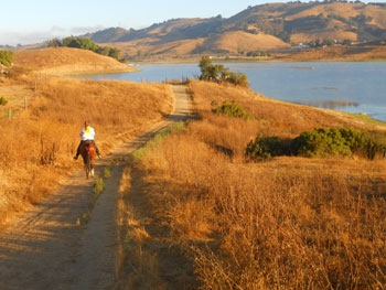 Harvey Bear at Calero NATRC