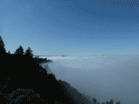 Fog over the Coast