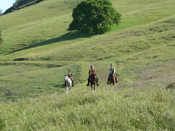 Mt Diablo NATRC