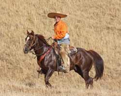 Safety Rider
