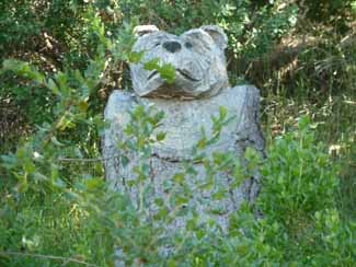 The Bear