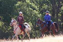 Point Riders
