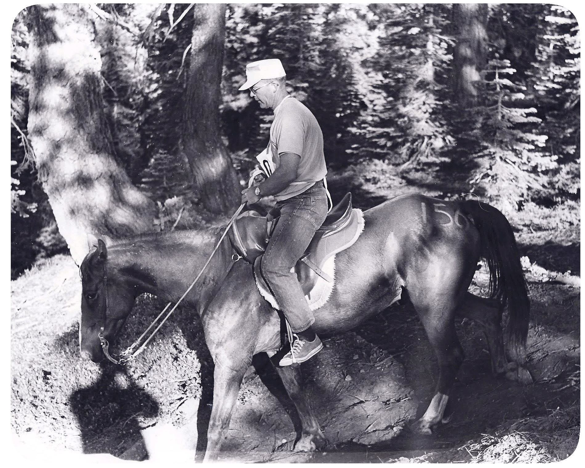 Bill on the Trail
