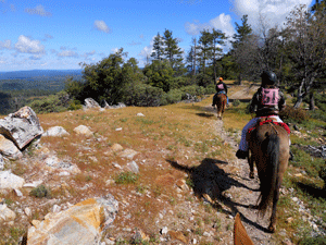 Arnold Rim NATRC Arnold Rim Photo