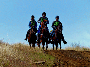 Cowboy Camp Photo