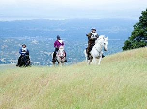 Mt Diablo Photo