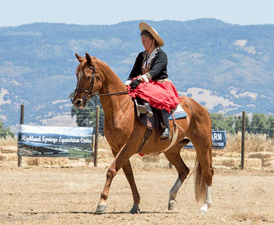 Angie Riding Sidesaddle Angie Riding Sidesaddle